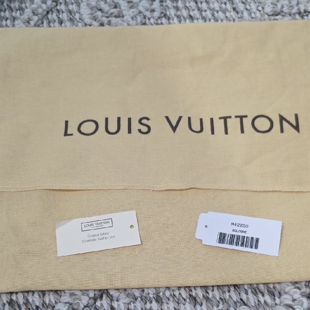 Authentic Louis Vuitton Sologne Crossbody Bag - Picture 4 of 10